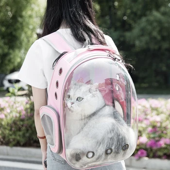 Домашни любимци Бинго прозрачни котки раница за преносим външен пътуване малко куче чанта дишаща коте превозвач Hangbag за 6 кг домашни любимци Suppies