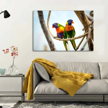 RELIABLI ART плакати и щампи платно Живопис пъстри папагали, птици декоративни животни стенно изкуство за хола без рамка