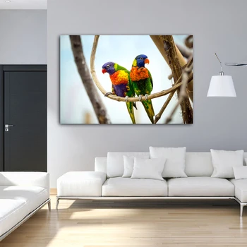RELIABLI ART плакати и щампи платно Живопис пъстри папагали, птици декоративни животни стенно изкуство за хола без рамка