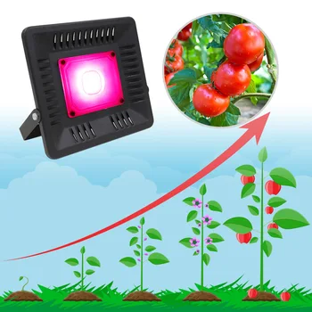 Пълен набор от LED Grow Light Waterproof 100W 200W 300W COB Growth Flood Light for Plant Grow Indoor Light Hydroponic lamp220v