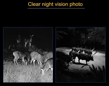 Mini300 Wildlife Hunting Camera 12MP 1080P HD&IR Trail Camera Night 0.45 s Fast Trigger IP66 водоустойчива ловна камера