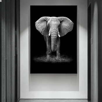 Модерна черно-бяло изкуството на животни слон, Зебра Лъв платно Живопис Куадрос стенно изкуство за хола начало декор (без рамка)