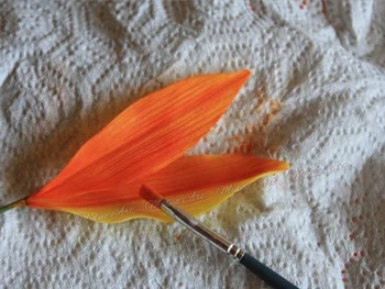 Gumpaste Birds of Paradise Flower Petal Crafts Кътър Gumpaste Flower Strelitzia Reginae листенца нож от неръждаема стомана