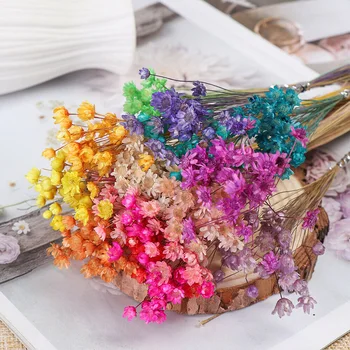 100 бр. сушени цветя, мини, Дейзи малка звезда направи си САМ цветя букети от естествени растения запазите цветна сватбена начало декор