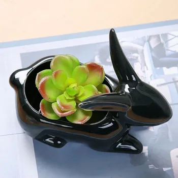 Просто любимец на Черно-Бял Заек месест саксия творчески Керамичен съд за сочни растения малко украса бонсай