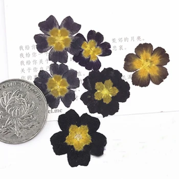 2017 Primula Yellow / Black Real Pressed Flowers Resin Cell Phone Case For Арома Свещ Decoration 1 лот/100шт