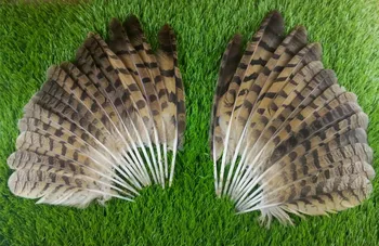 Чисто нов! 10 бр качеството на естествени пера сови, 9-14 см / 22-30 см, направи си САМ украса бижута