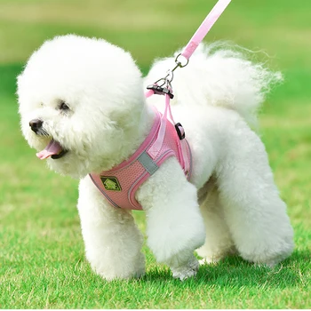 Евтини аксесоари за домашни любимци ново качество на отглеждане на кучета на каишка, сбруя комплекти отразяваща кученце малки средни кучета облекло от найлон въже 150 см