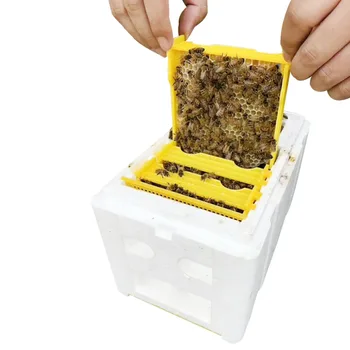 2 бр. / лот ниска цена на продажба на Пчелен инкубатор Пчелен съчетаването на селекционная скоростна дължина 241 * широчина 148 * Височина 166 мм Пчелин Пчелин развъждане на пчели