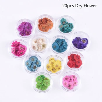 20pcs нокти сухи цветя, бижута за жени маникюр сушена цвете японското декорация на нокти Nails Арт Декор Natural Flower 2020