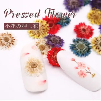 20pcs нокти сухи цветя, бижута за жени маникюр сушена цвете японското декорация на нокти Nails Арт Декор Natural Flower 2020