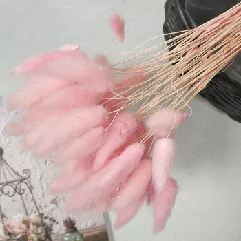 60 бр./лот,натурален зайци опашката сушени цветя,в момента на докосване на вечните цветя за сватбена декорация на дома,аранжиране на снимане подпори