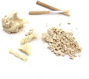 Динозавър изкопаеми копаят комплект копае скелет Големите стволови науката подарък за палеонтология и археология Ентусиасти на всякаква възраст