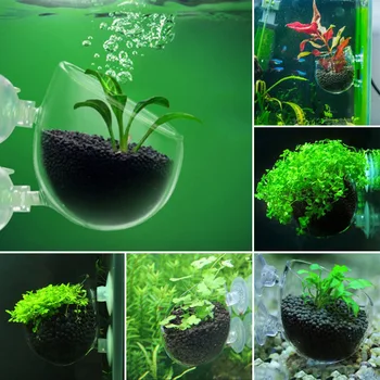Аквариум танк декор растения пейзаж отглеждане в стъклена чаша басейн с мини Водна посадъчен гърне дропшиппинг FAS