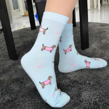 такса чорапи сладки луди чорапи на сини луксозни колбаси куче чорапи жени карикатура памук Сокс за Вайнера куче любовник подарък 12 двойки