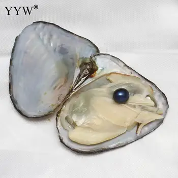 12 бр./лот сладководни култивирани любов желанието Пърл Oyster сладководни перли фигура форма на смесени цветове 7-8 мм миди изненада подарък за