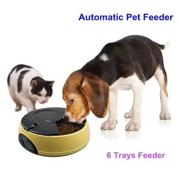 Ortilerri 6 Meal Smart Automatic Пет Устройство LCD Display Cat Dog Food Dispenser Timed Recorder Bowl Food Reminder Cat Устройство