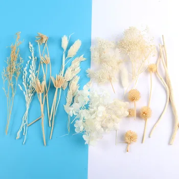 1 чанта Mix сушени сухи цветя занаят декорация от естествен цвете цвете за епоксидна смола бижута UV-смола бижу занаят САМ