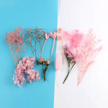 1 чанта Mix сушени сухи цветя занаят декорация от естествен цвете цвете за епоксидна смола бижута UV-смола бижу занаят САМ