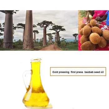 Масло от баобаб дърво на 50 мл семена от студено пресовани сурови пресово масло, хидратиращ и възстановително за запазване на