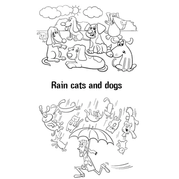 AZSG дъжд котки и кучета е ясно марка 