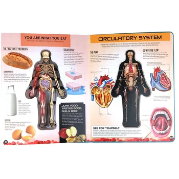 Имат Анатомия на спортни орган за употреба на науката за човешкото тяло 3D всплывающая книга Образование учебна книга за деца