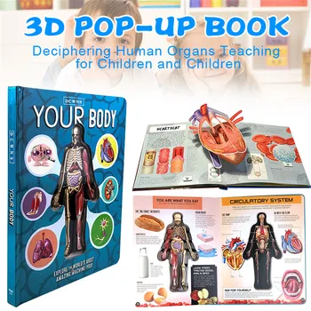 Имат Анатомия на спортни орган за употреба на науката за човешкото тяло 3D всплывающая книга Образование учебна книга за деца