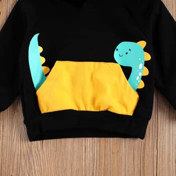 2020 Есен-Зима дрехи за малките момчета 2 бр. комплекти динозавър печат пуловер с дълъг ръкав джоб с качулка върховете +панталони за момичета 0-24 м
